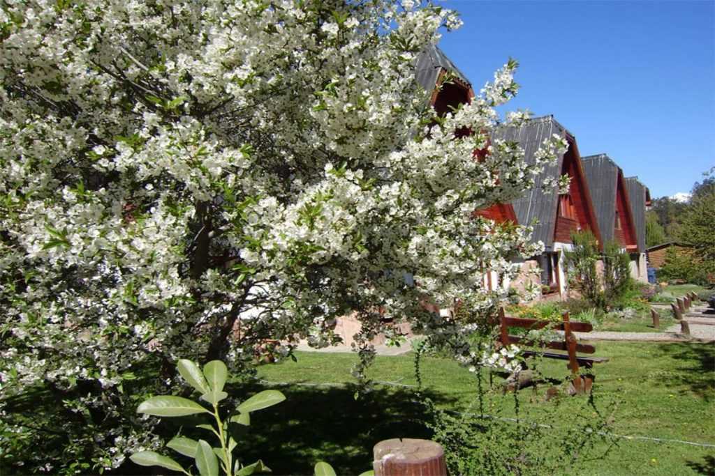 san ignacio - conflores